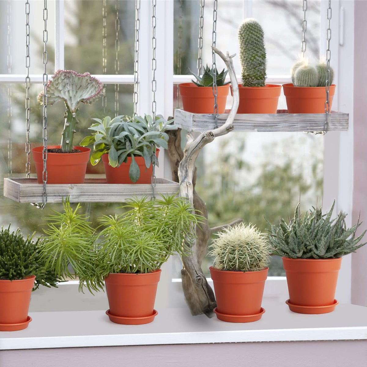 SwinDuck 4-inch plant pot, drainage holes visible, helps prevent overwatering and root issues.