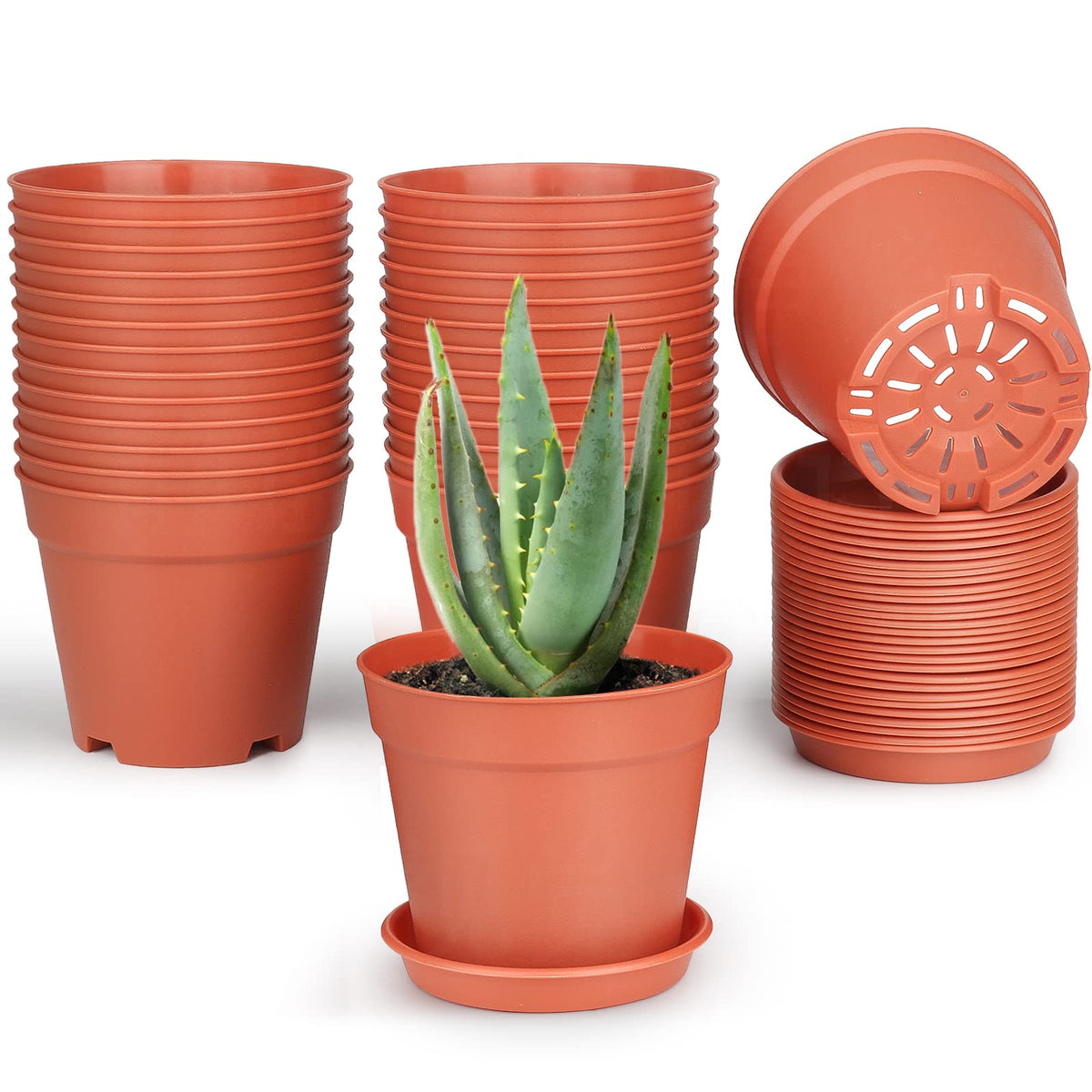 SwinDuck 4-inch plant pot, front view, ideal for compact indoor herbs and flowers.