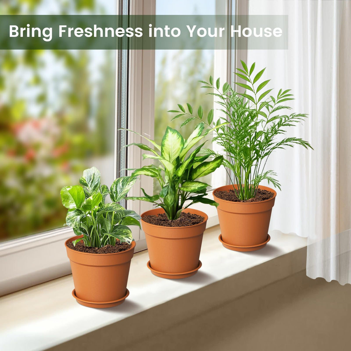 Swinduck 6-inch plant pot with matte finish, stylish for modern spaces.