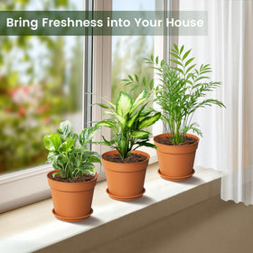 Swinduck 6-inch plant pot with matte finish, stylish for modern spaces.