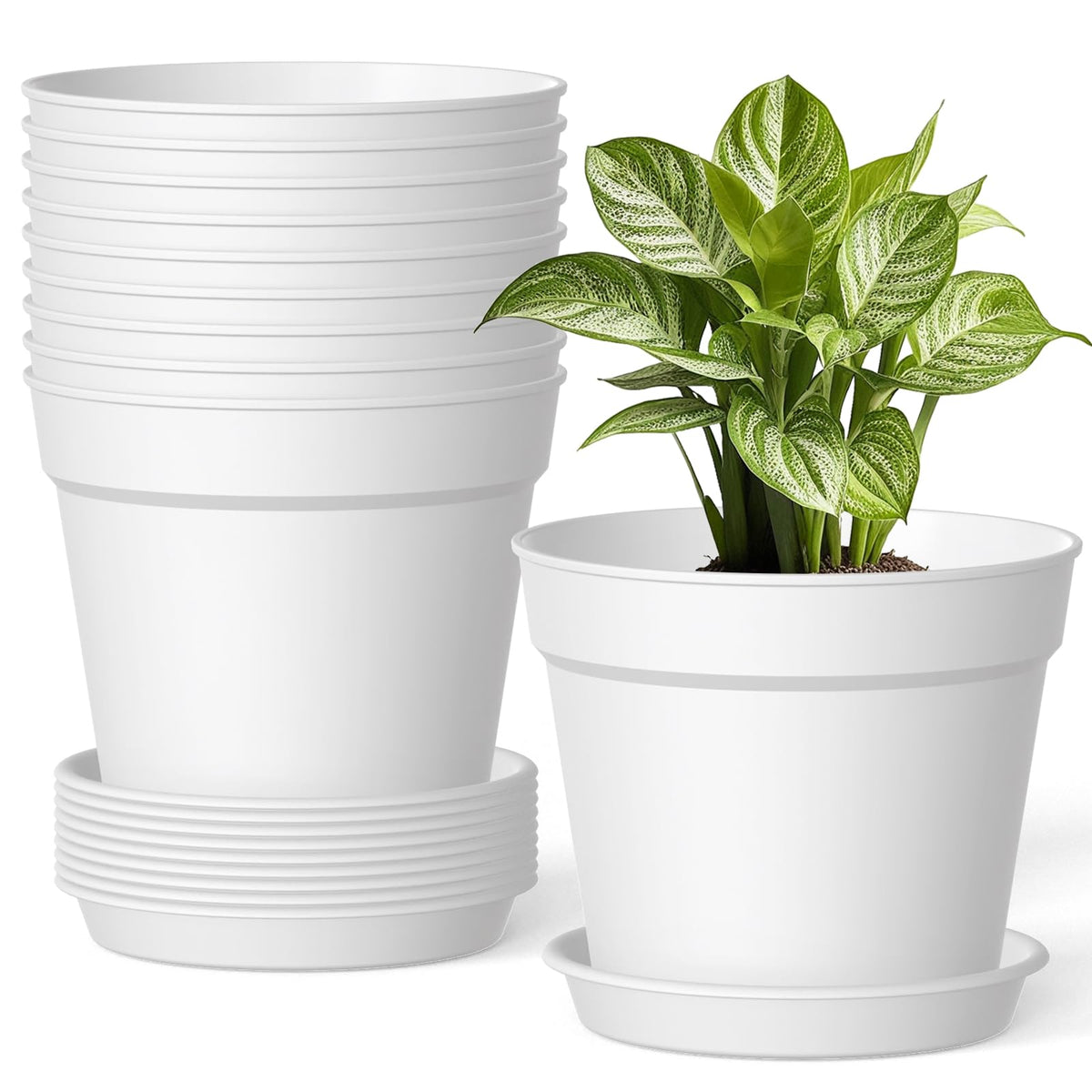 SwinDuck 6-inch plant pot with drainage and saucer for healthy root airflow