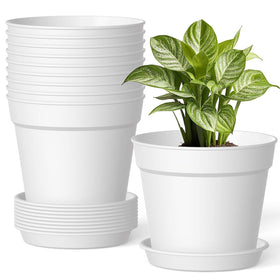 SwinDuck 6-inch plant pot with drainage and saucer for healthy root airflow