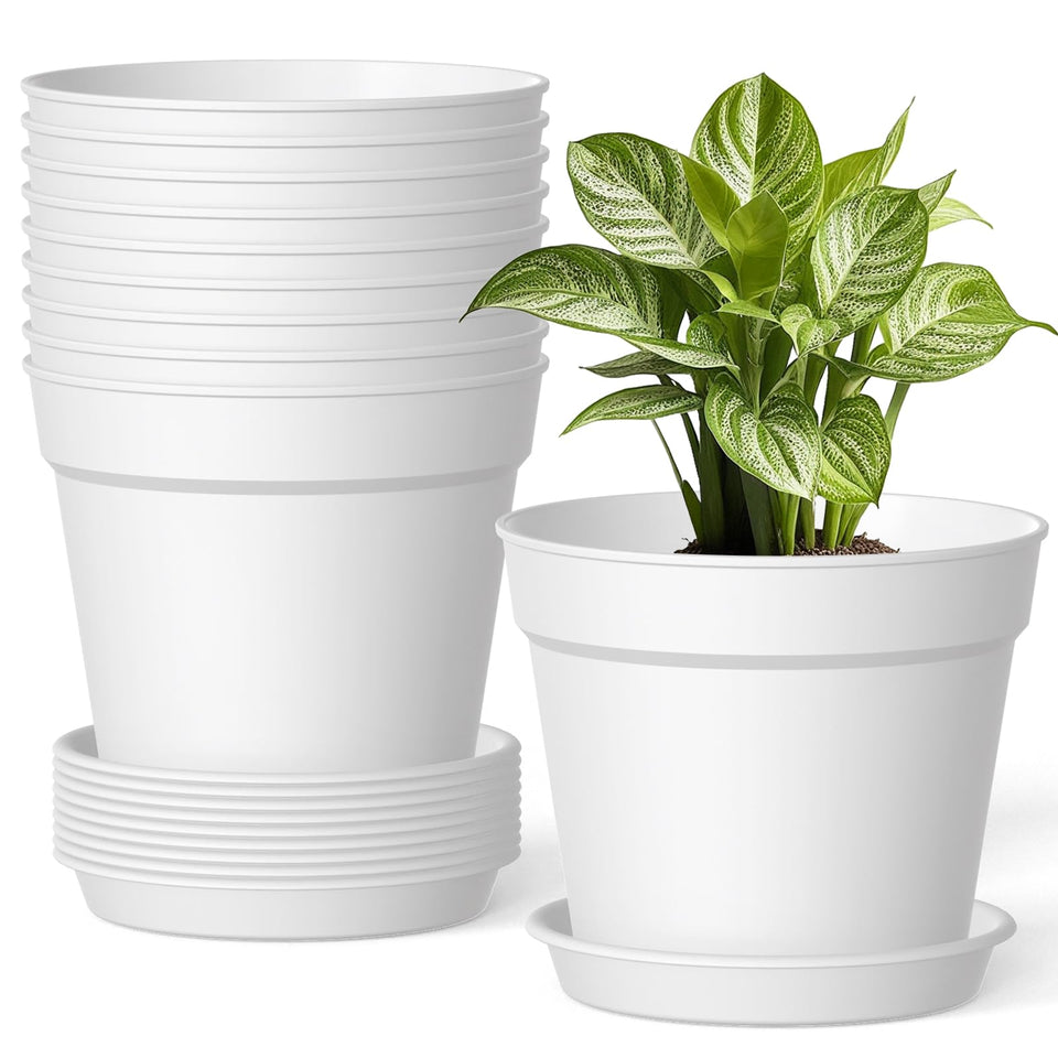 SwinDuck 6-inch plant pot with drainage and saucer for healthy root airflow