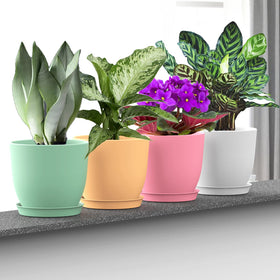 SwinDuck 6-inch green plant pot with matte finish to highlight foliage.