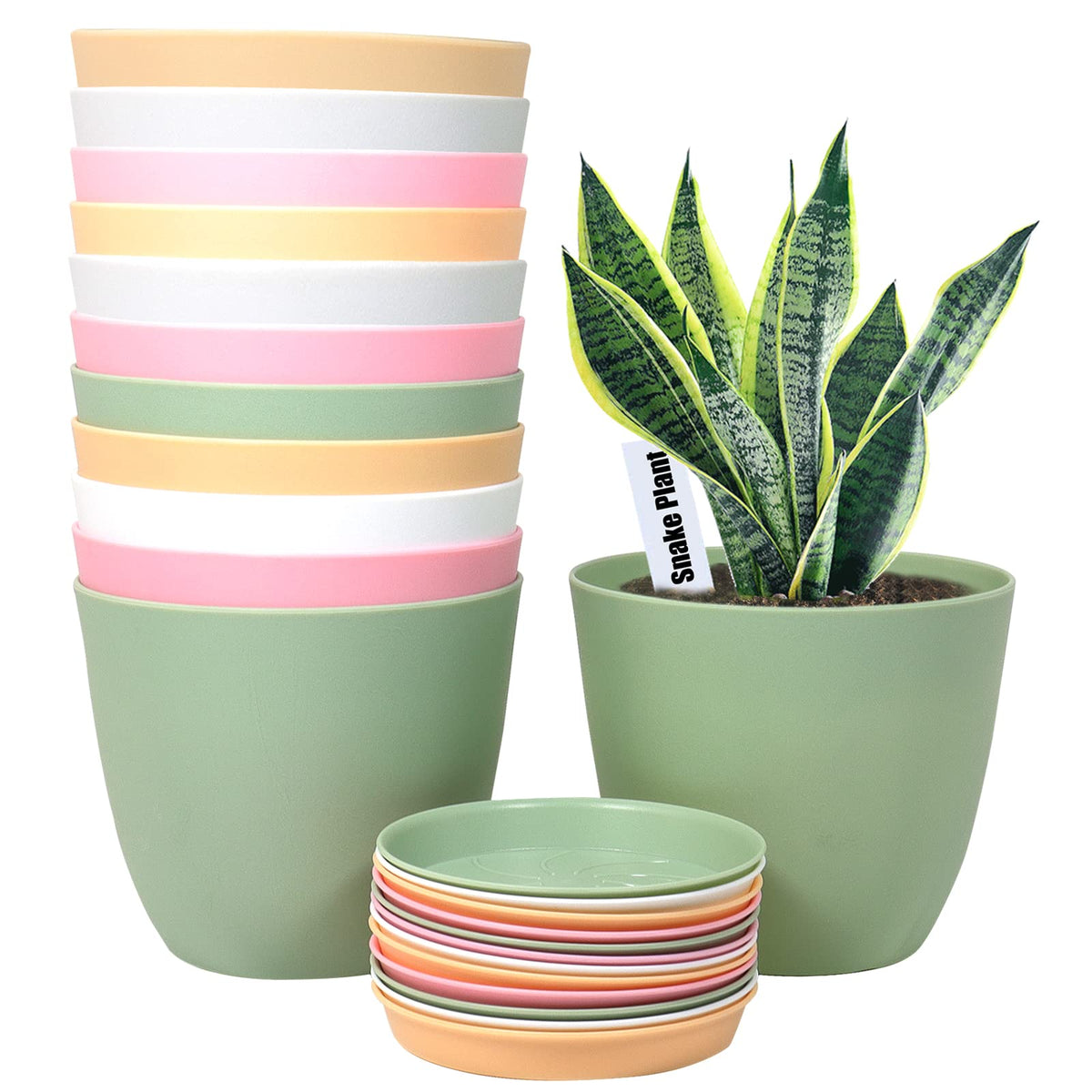 SwinDuck 6-inch pink plant pot with drainage holes, ideal for indoor succulents.