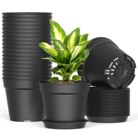 SwinDuck 6-inch pot with drainage holes promotes healthy root airflow.