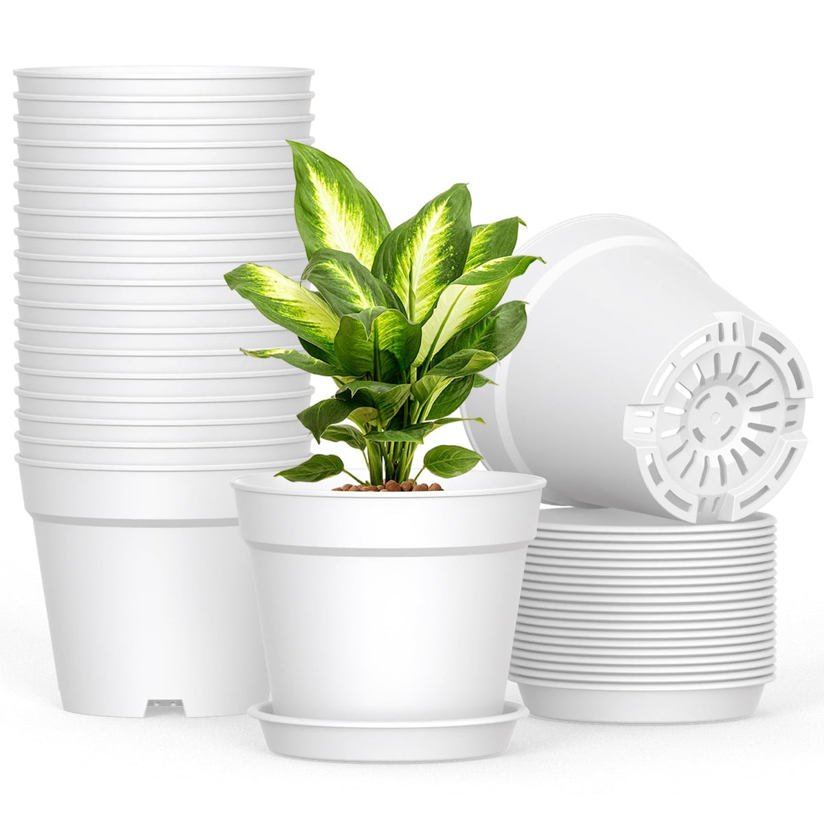 SwinDuck 6-inch pot with drainage holes and saucer for mess-free watering.