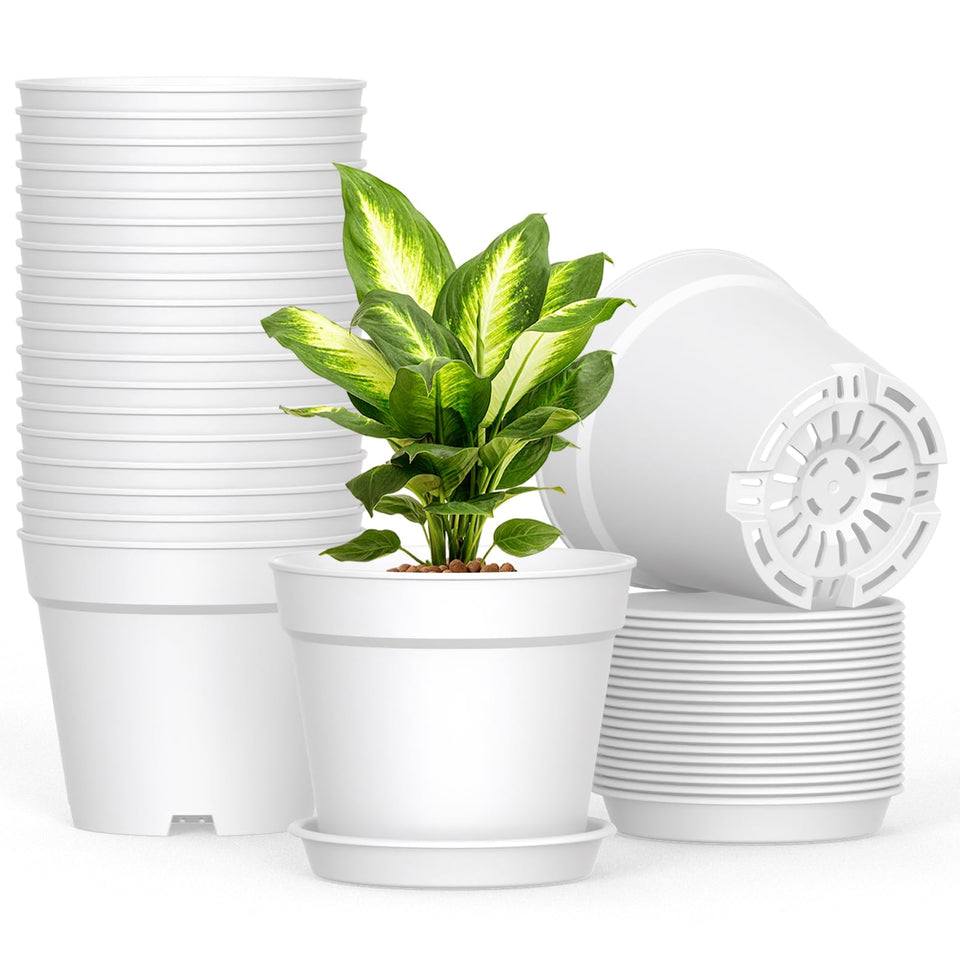 SwinDuck 6-inch pot with drainage holes and saucer for mess-free watering.