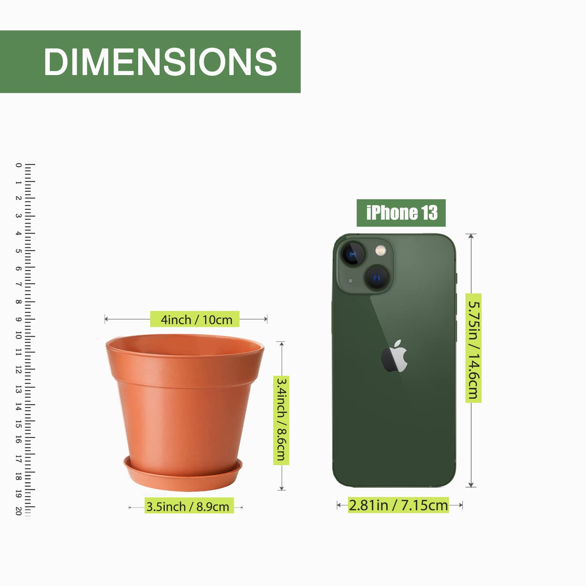 SwinDuck indoor garden setup, versatile display for herbs, flowers, and tiny plants.