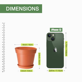 SwinDuck indoor garden setup, versatile display for herbs, flowers, and tiny plants.