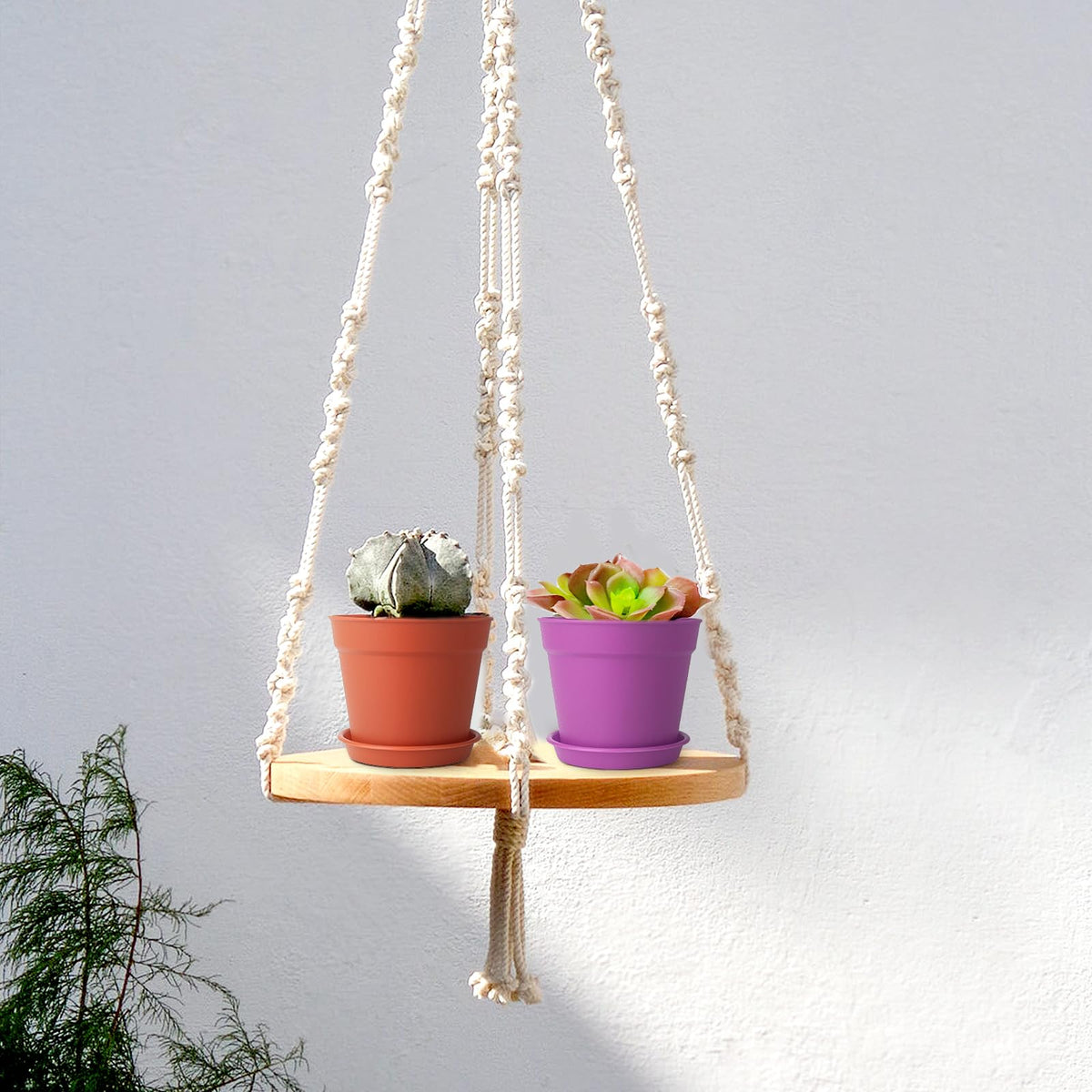 SwinDuck seed starting pots shown with trays for nursery projects