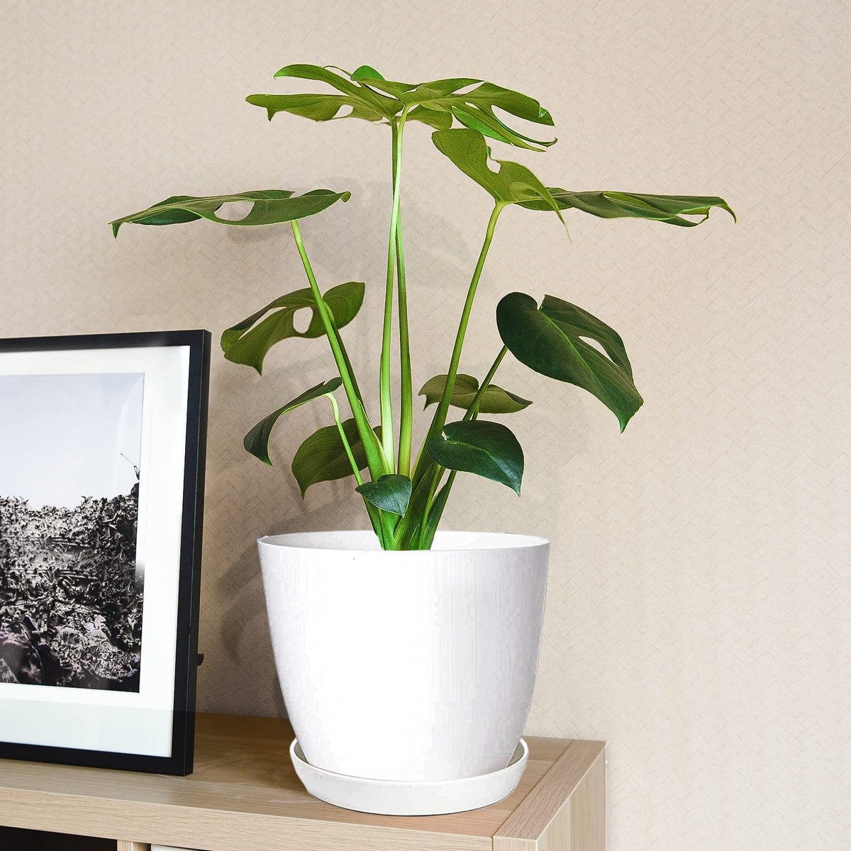 SwinDuck planter shown for indoor and outdoor display versatility