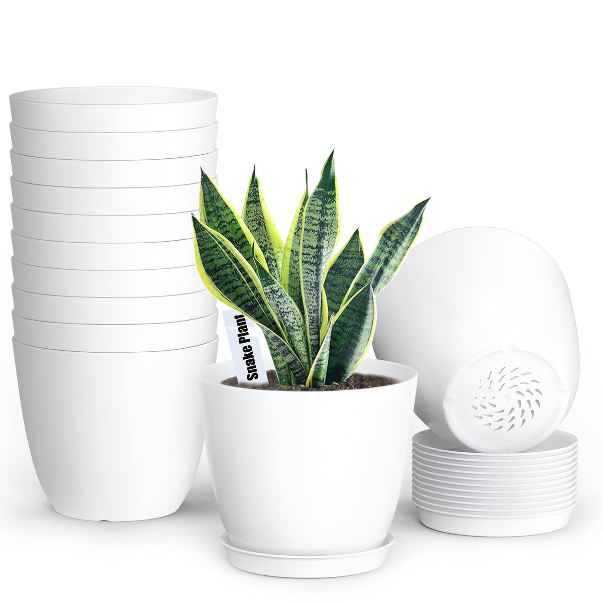 SwinDuck 6-inch round white plant pot ideal for indoor displays