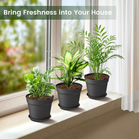 SwinDuck plant pot saucer set catches excess water to protect surfaces.