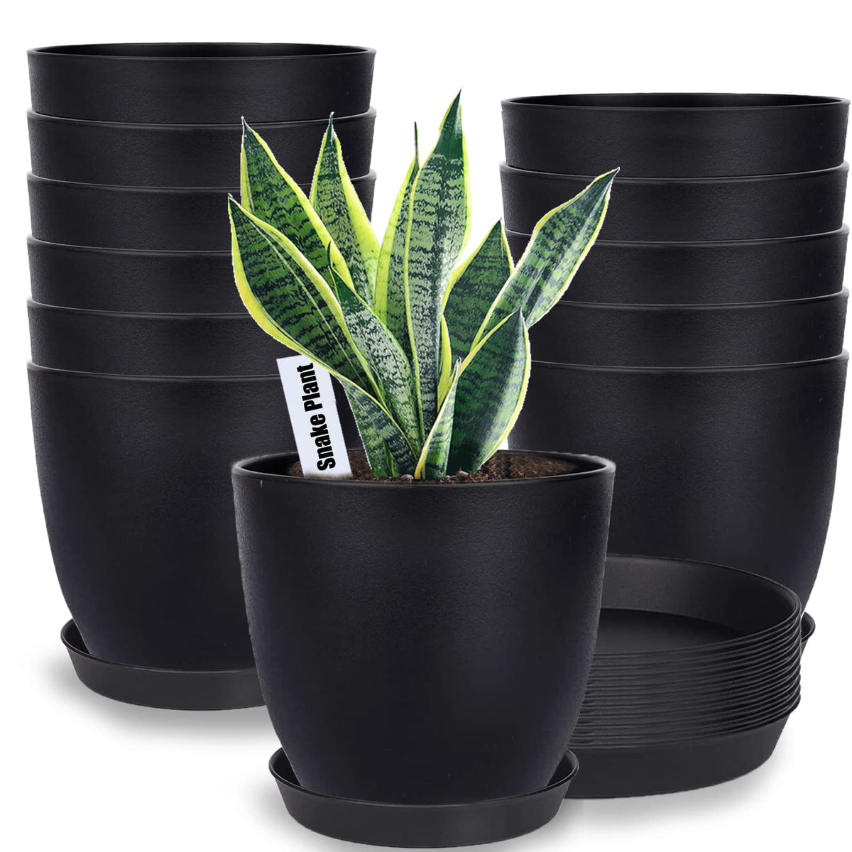 SwinDuck 6-inch pot with drainage holes ideal for repotting indoor plants and preventing overwatering.