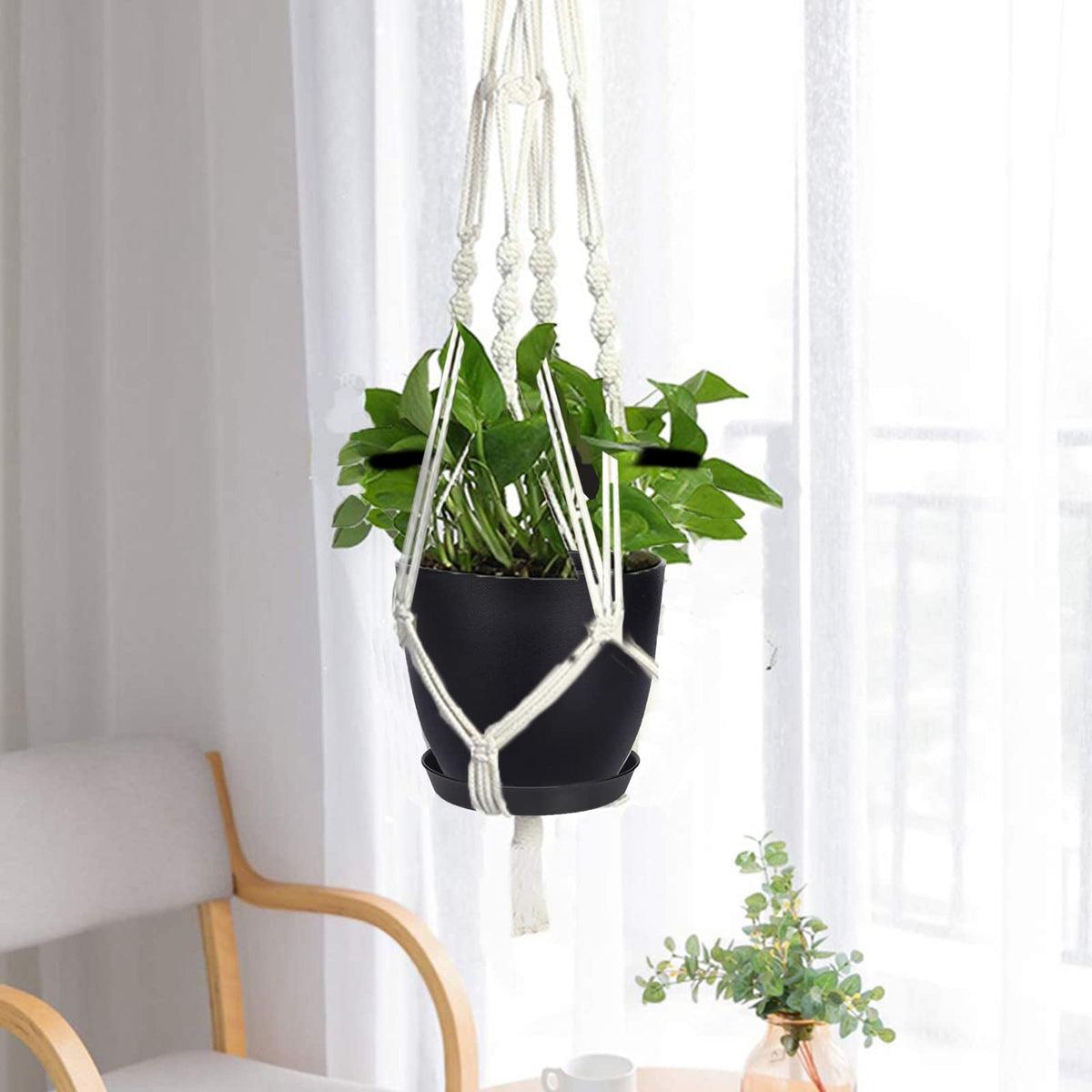 SwinDuck modern matte planter highlights plant foliage while complementing home decor.