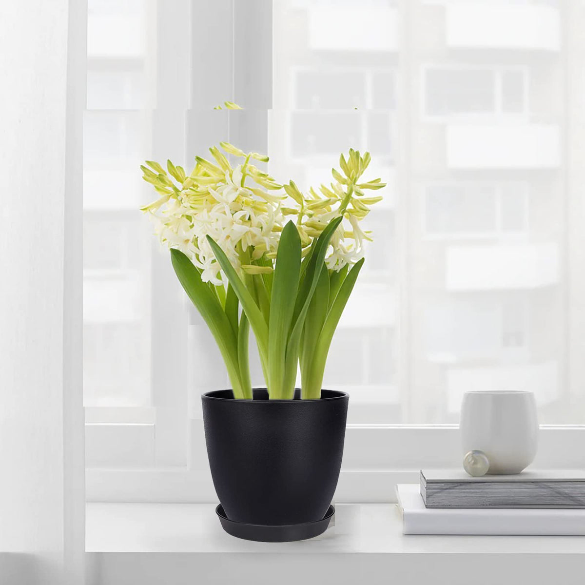 SwinDuck 6-inch pots suit shelves, desks, and windowsills for bright indoor gardens.
