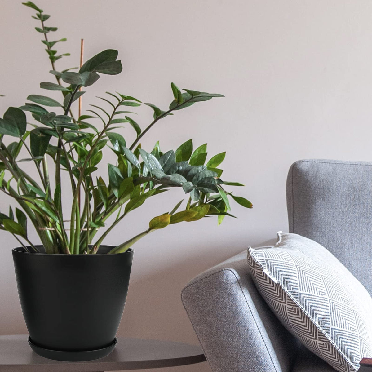 SwinDuck 12-pack planters are versatile for Aloe, Snake plants, Pothos, and herbs.