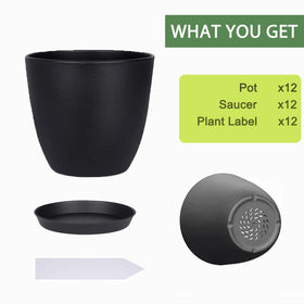 SwinDuck 6 inch pot set with drainage holes keeps soil ventilated for healthier roots.