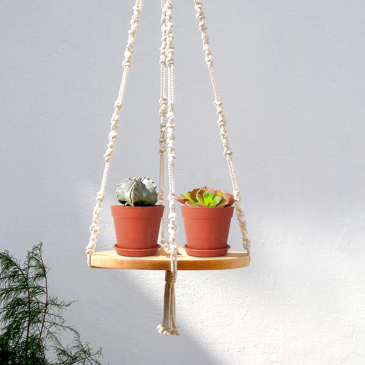SwinDuck small pot for succulents, compact design fits shelves and windowsills.