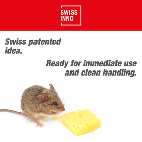 SWISSINNO bait paste attractant provides long-lasting lure for mice and rats.
