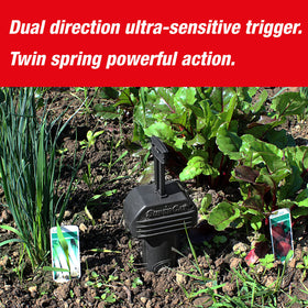 SWISSINNO Gopher & Vole Trap PRO reinforced base for durability and reliability