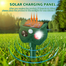 Sxaze deterrent sensor position demonstrates elevated mounting for wider coverage.
