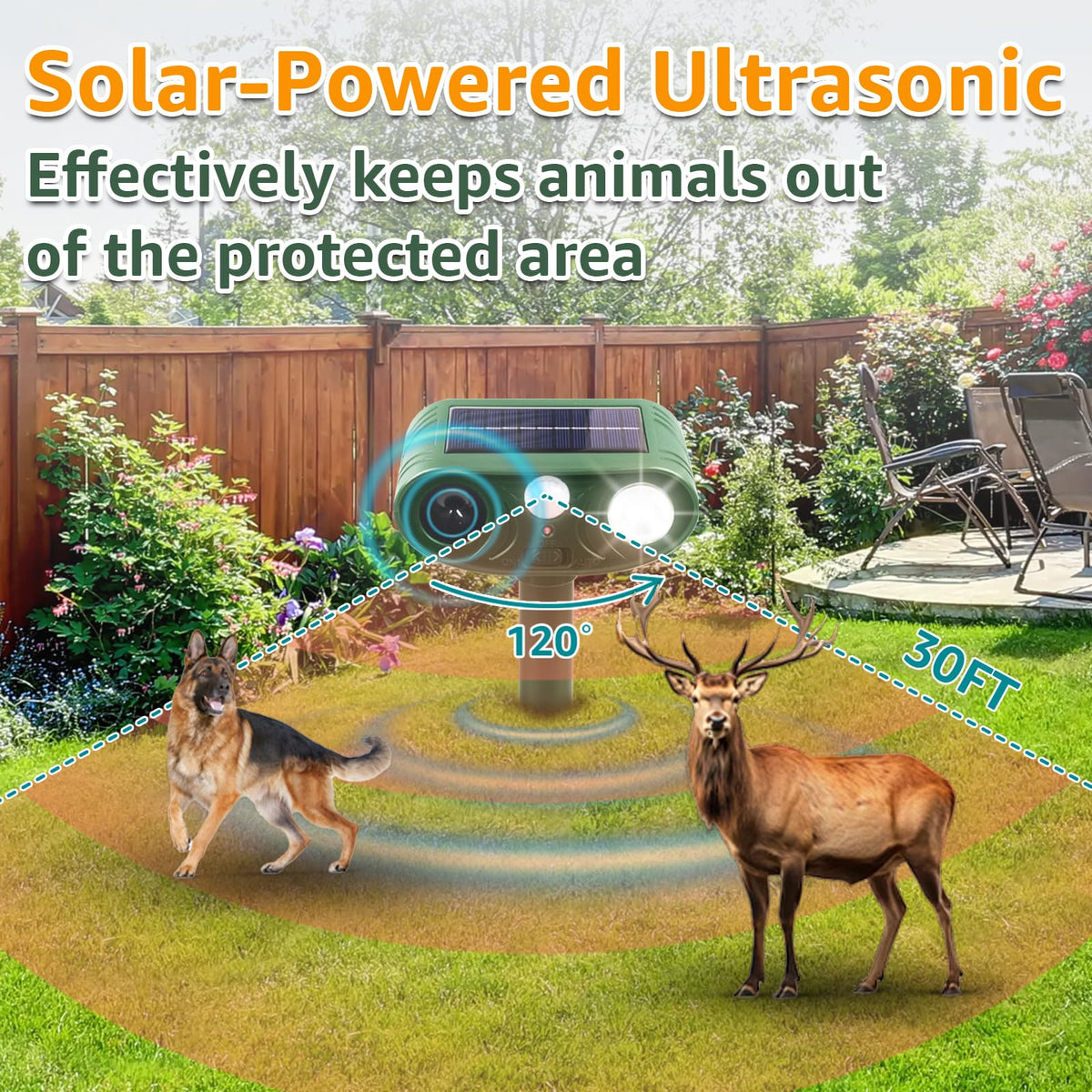 Sxaze two-pack setup provides flexible yard and garden coverage.