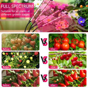 SYEIORAOM 72 LED beads deliver even indoor illumination for diverse plants.