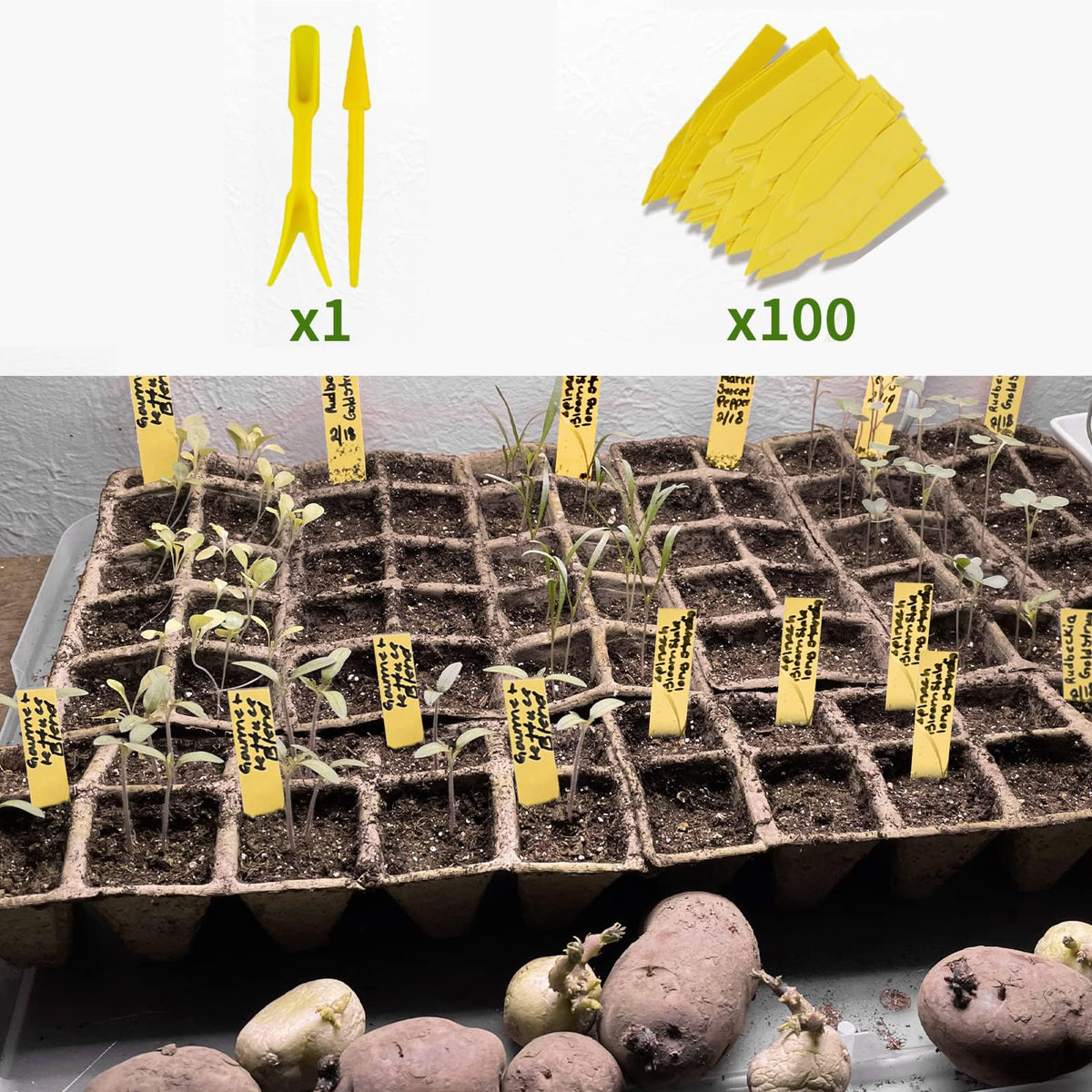 SYITCUN biodegradable pulp material supports eco-friendly gardening