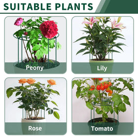 SYITCUN 24-inch peony cage size for mid-height varieties.