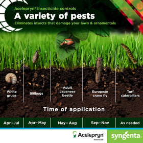 A Acelepryn SC being applied to a lawn leaf for pest control.