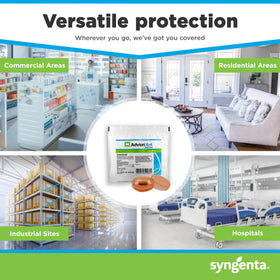 Syngenta Advion Ant Bait Arena 12ct interior scene near cabinets for pest management