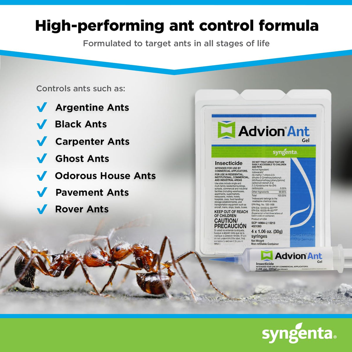 Ant trails and nests visible for rapid colony targeting with Advion Gel.