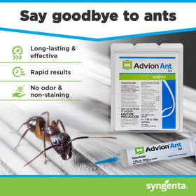 Syngenta Advion ant gel bait with ant trail spotting demonstrates attractive sugar bait.