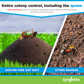 Perimeter application of Advion Fire Ant Bait around a property
