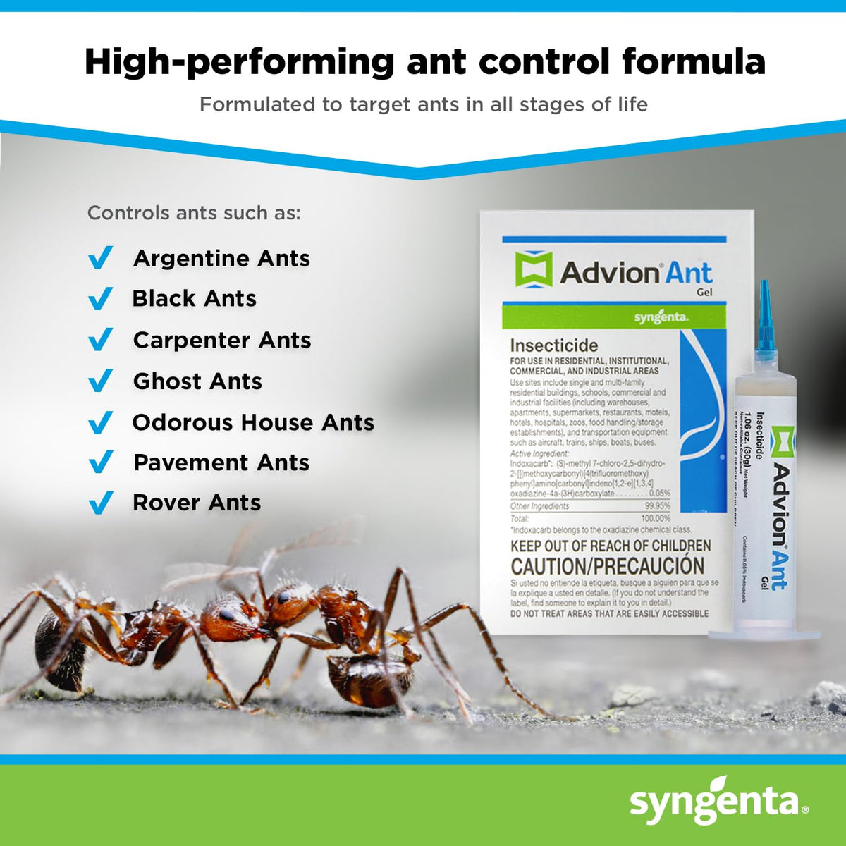 Syngenta Advion Singular Tube ant gel outdoor usage targets outdoor colonies with minimal mess.