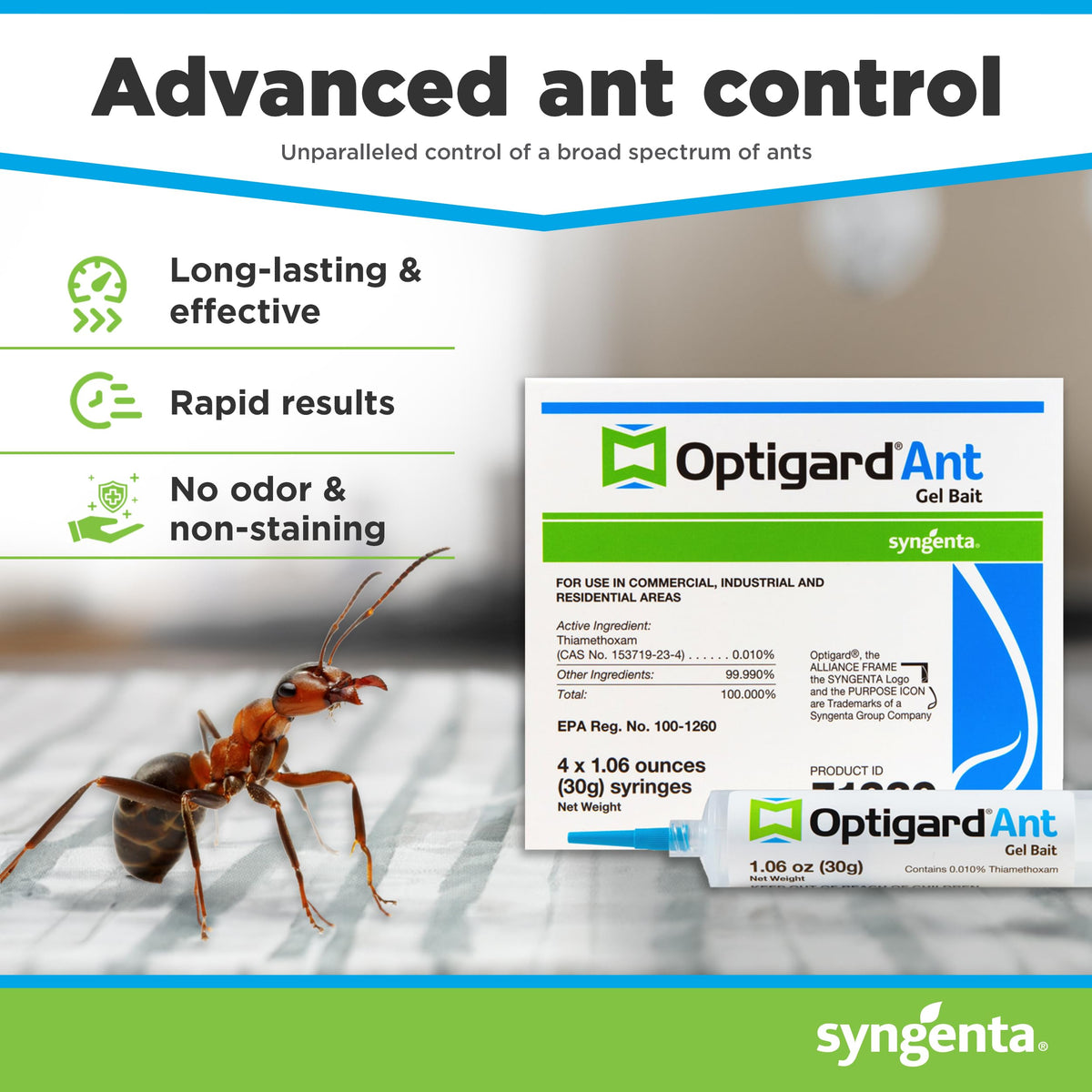 Close-up of Optigard gel bait along ant trail for targeted treatment