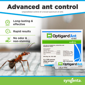 Close-up of Optigard gel bait along ant trail for targeted treatment