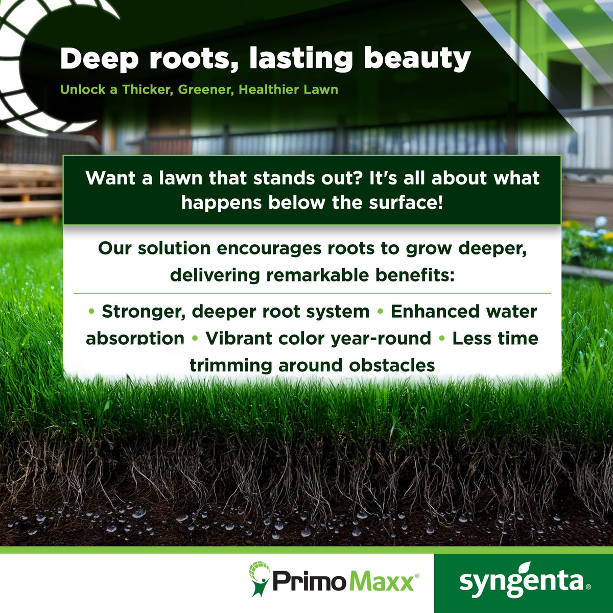 Syngenta Primo Maxx turf-application scene indicates efficient treatment.