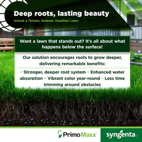 Syngenta Primo Maxx turf-application scene indicates efficient treatment.