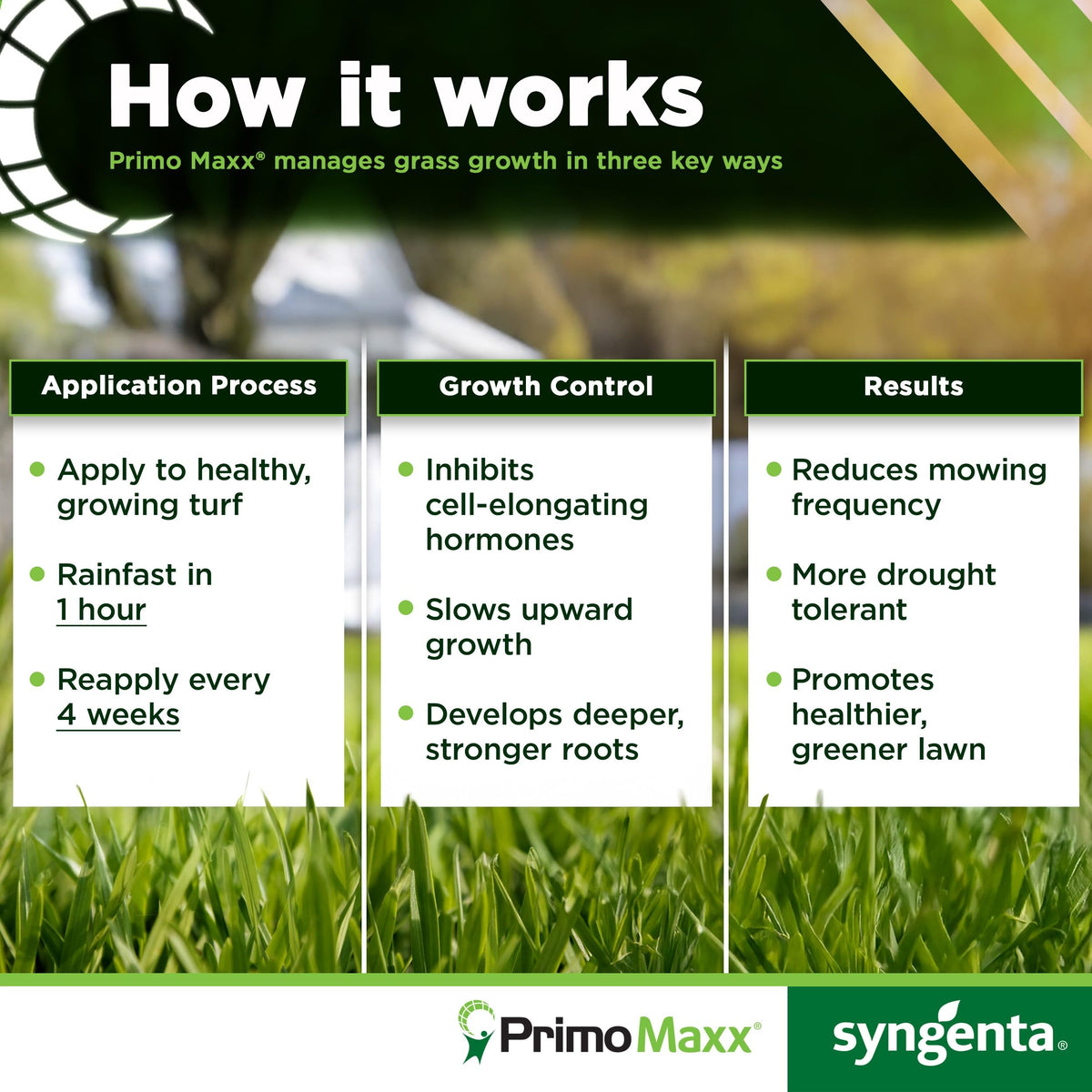 Syngenta Primo Maxx turf green coverage hints at healthier grass.