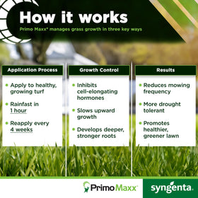Syngenta Primo Maxx turf green coverage hints at healthier grass.