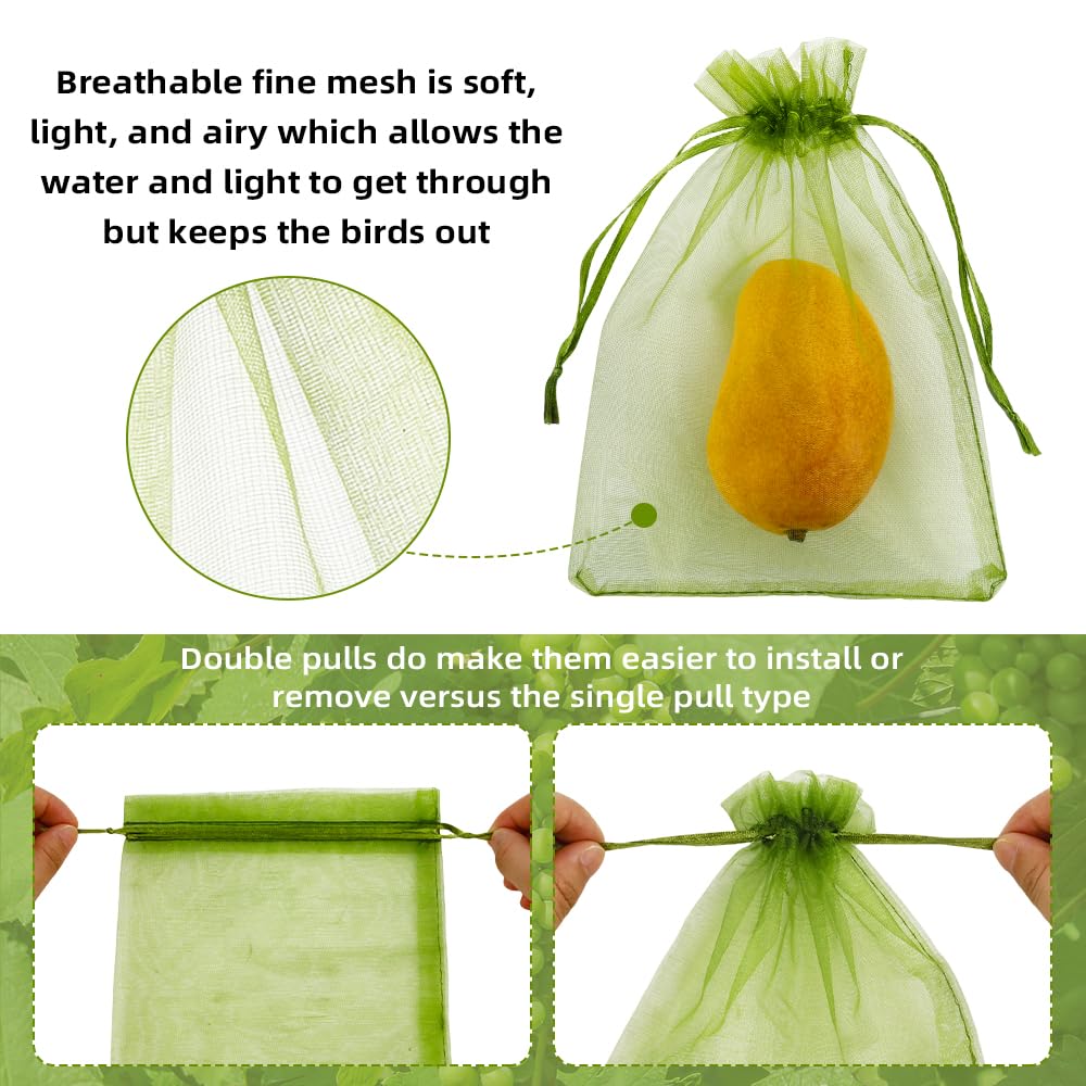 SythorYang bag protects strawberries and tomatoes from pests