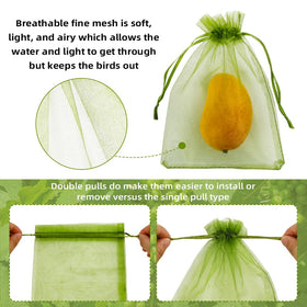 SythorYang bag protects strawberries and tomatoes from pests