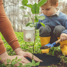 SYWHXY 16.5-inch rings fit various tree sizes for versatile garden use