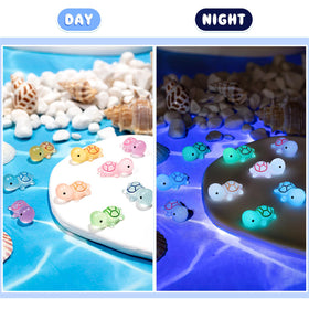 SYWHXY glow-in-the-dark turtle figurines illuminate shelves and night displays.
