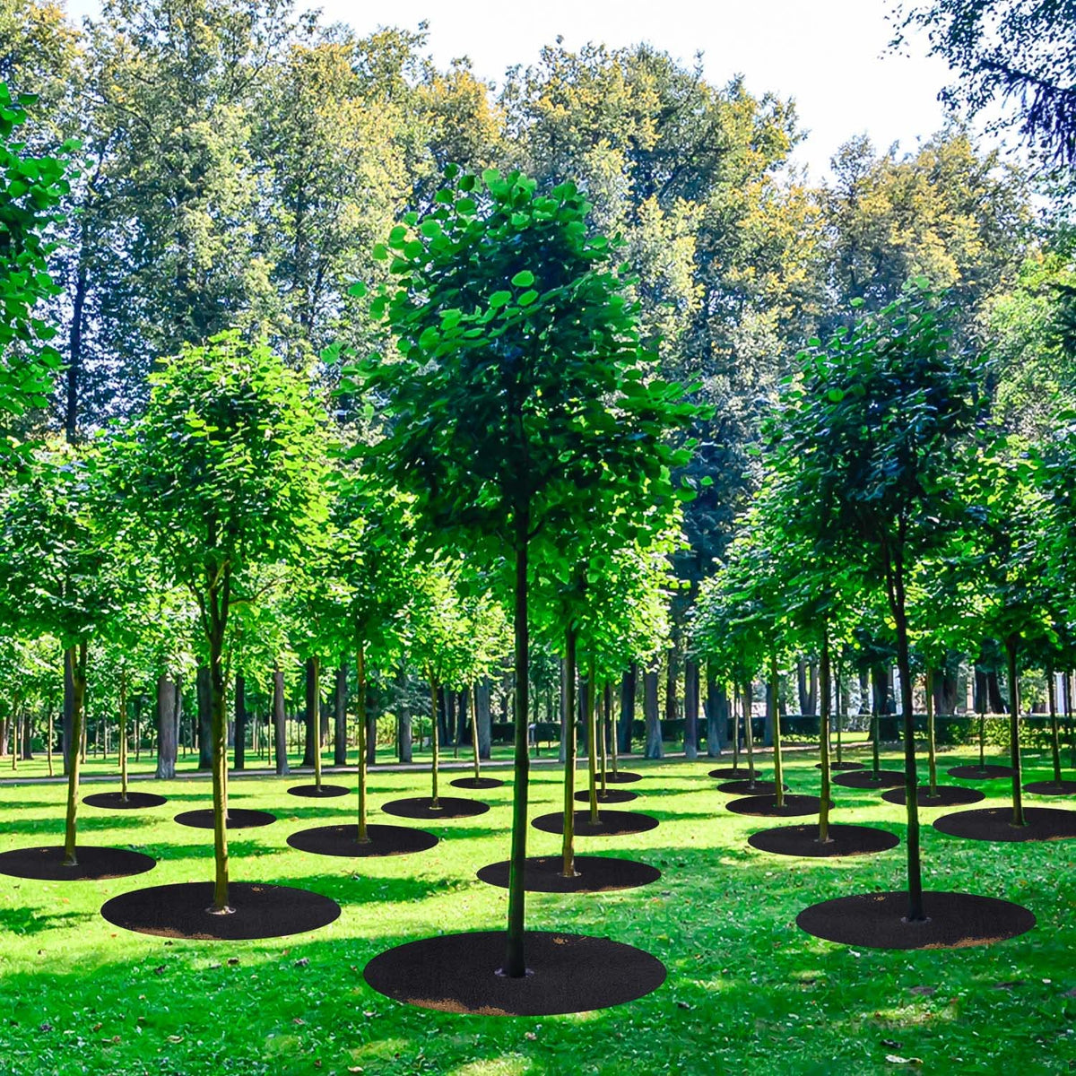 SYWHXY weed barrier protects soil and roots from weeds