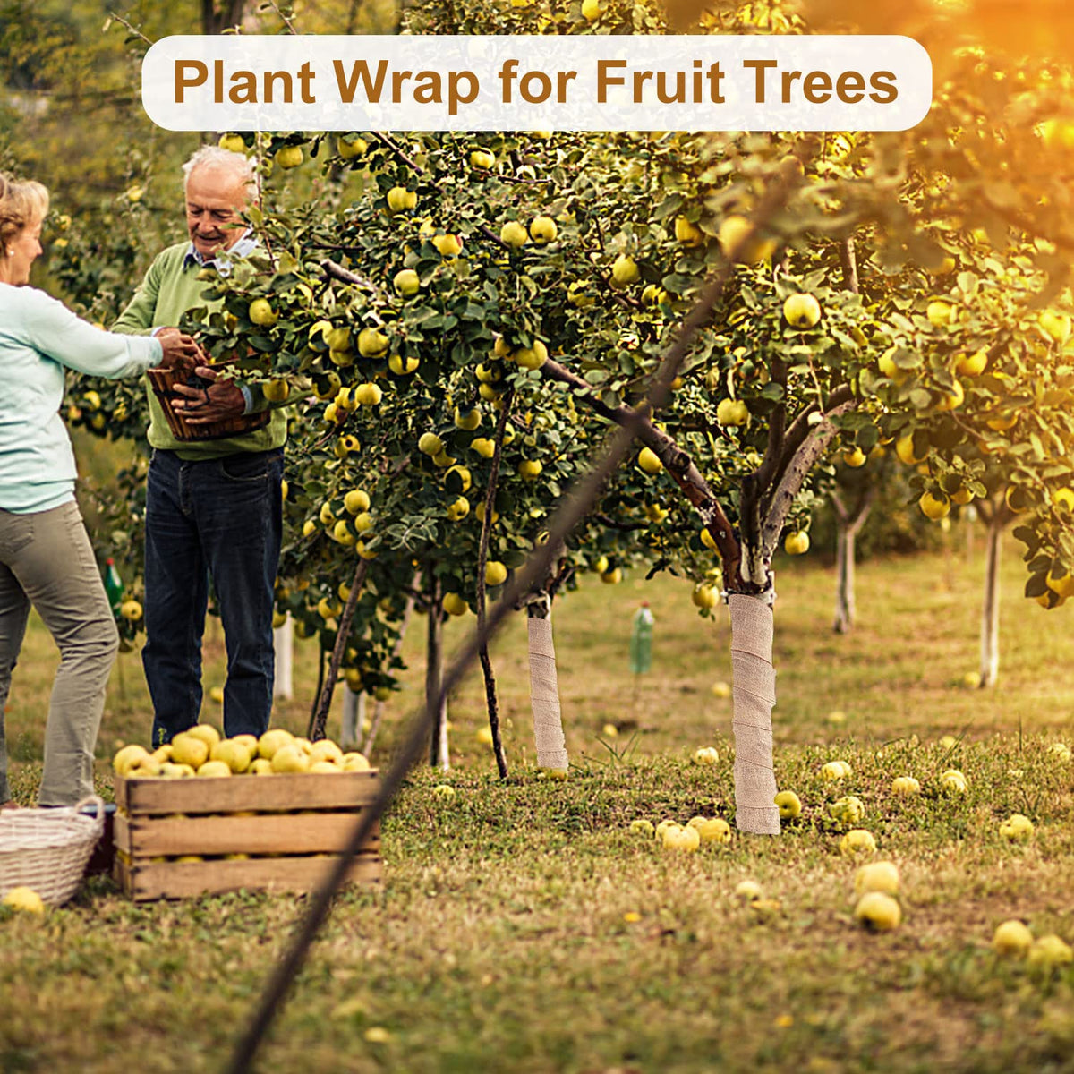 SYWHXY winter tree protection guard shields trunks from weather