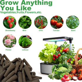 SZLJYLM Indoor hydroponic garden setup with soil-free growing